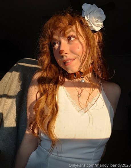MandyFrizzle profile image
