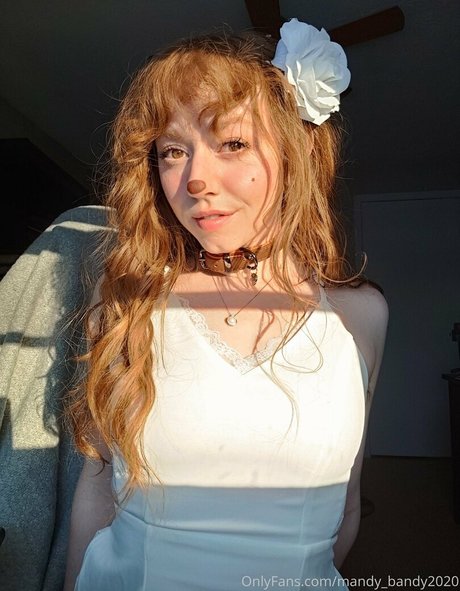 MandyFrizzle HDスター 写真