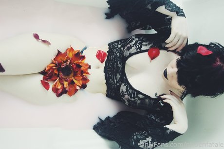 Phoenfatale ホットなモデル 写真