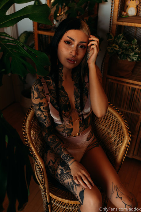 Addox 美しいモデル 画像