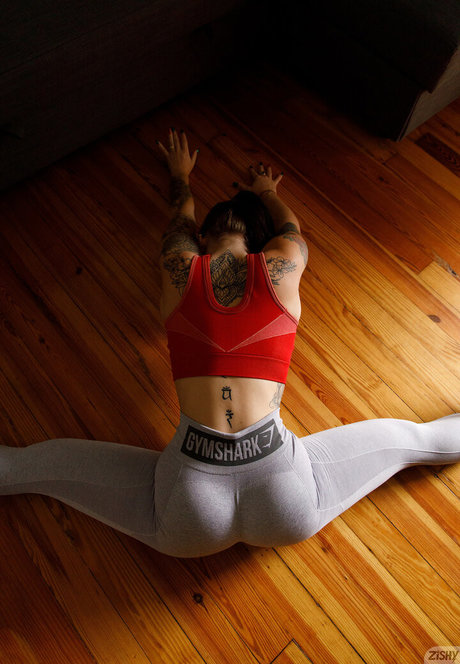 Apex Suicide HD女優 写真