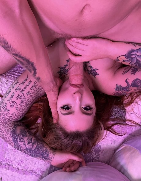Apex Suicide エロティックなスター 画像