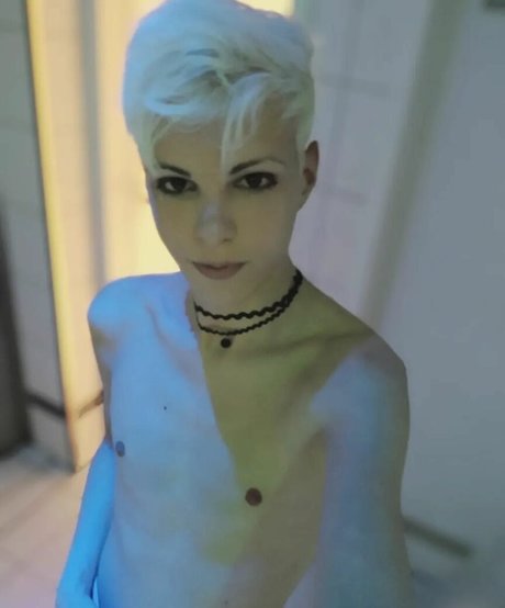Blonditwink 高品質のスター 写真