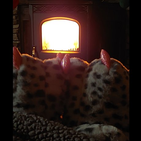 Toes R Us スター 裸 写真