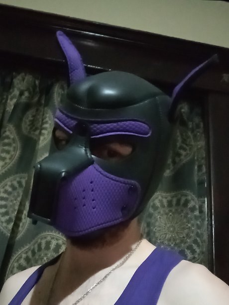 PupDax モデル 画像