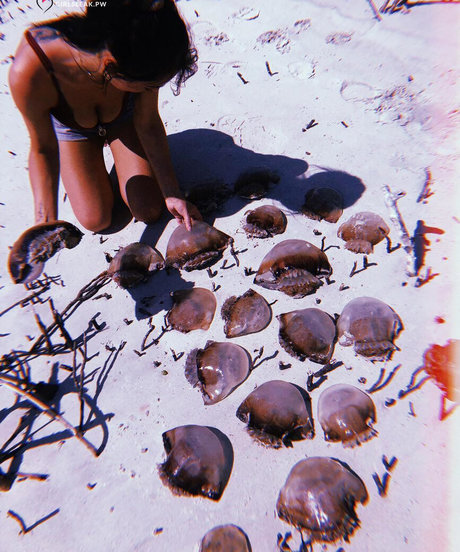 Clare Temerowski ホットスター 写真