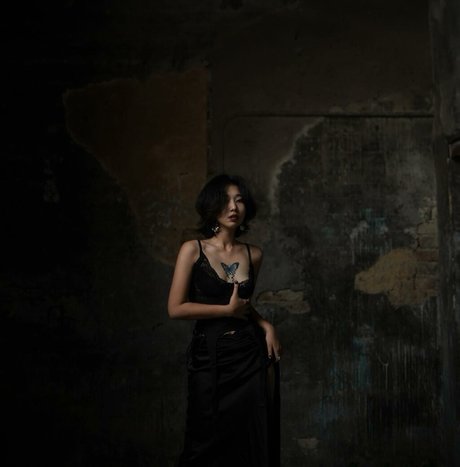 morethanb od y 限定スター 写真