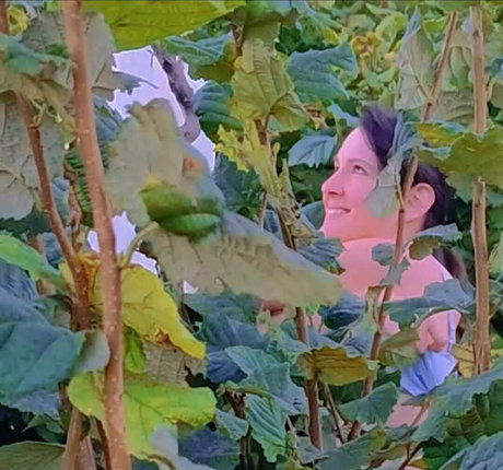 CatalinaOutdoors 無料スター 写真