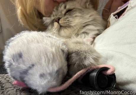 MonroCocos ポルノモデル 写真