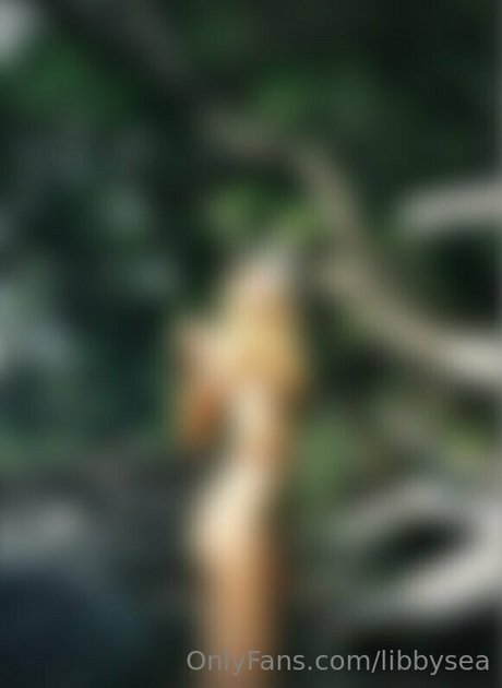 libbsea HDモデル 画像