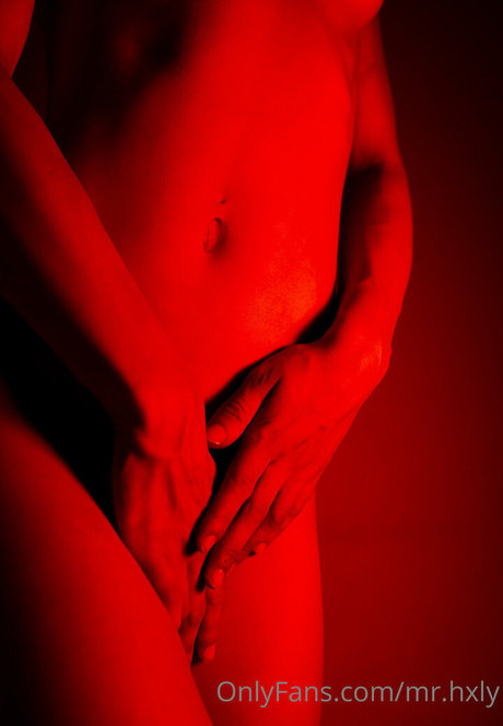 mr hxly アートスター 写真