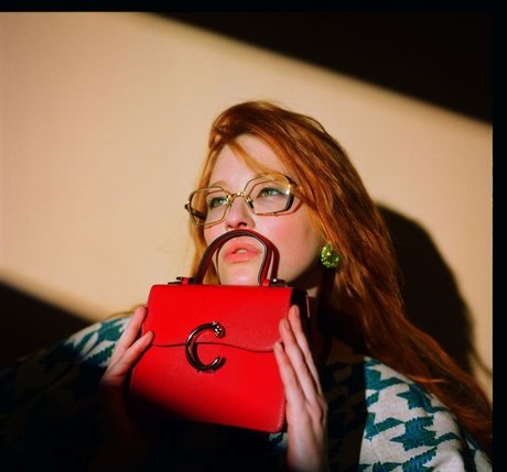 Haley Bennett ポルノスター アダルト 写真