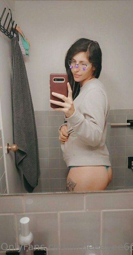littleeevee66 素敵なスター 写真