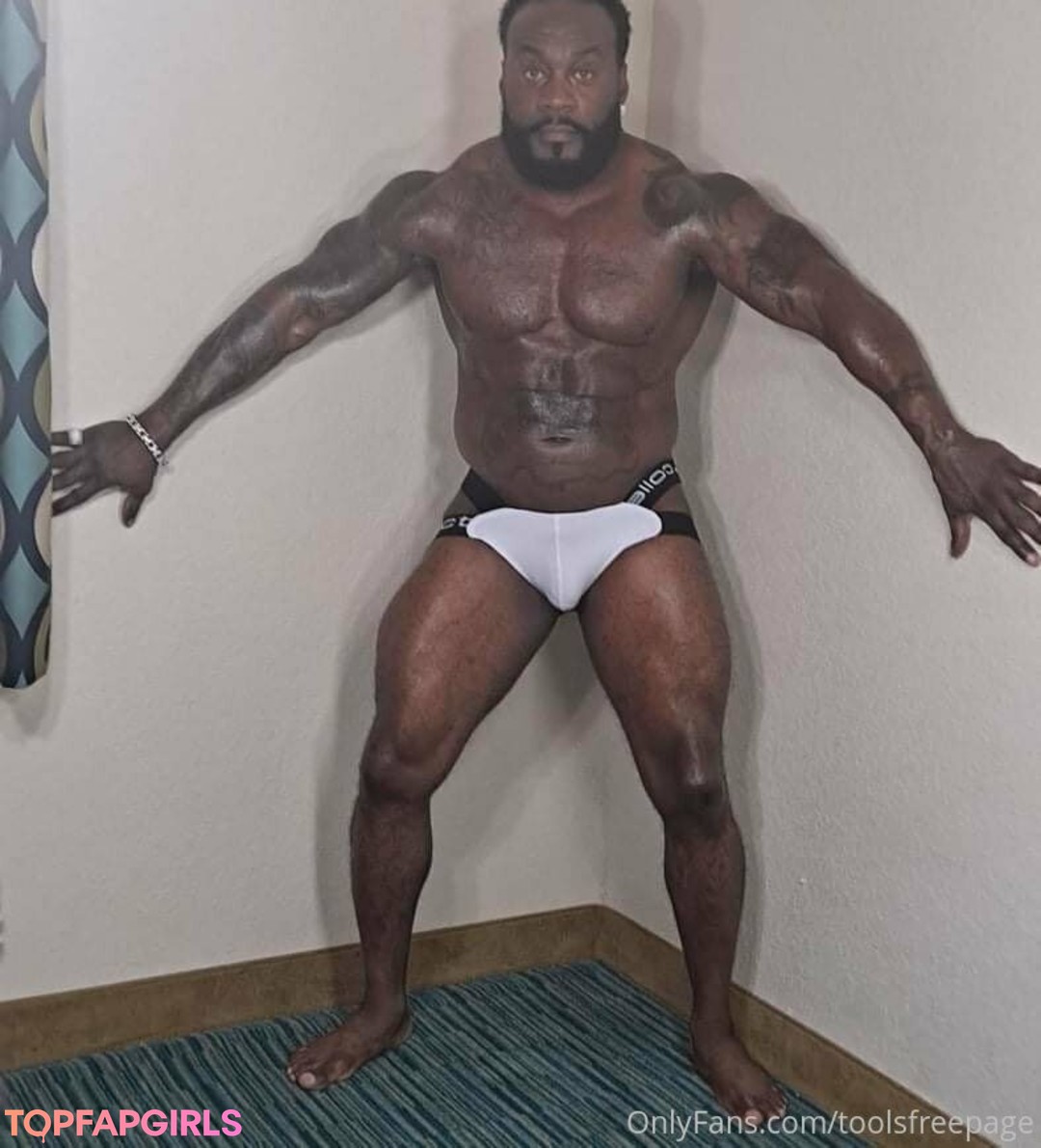 toolsfreepage ポルノモデル ギャラリー