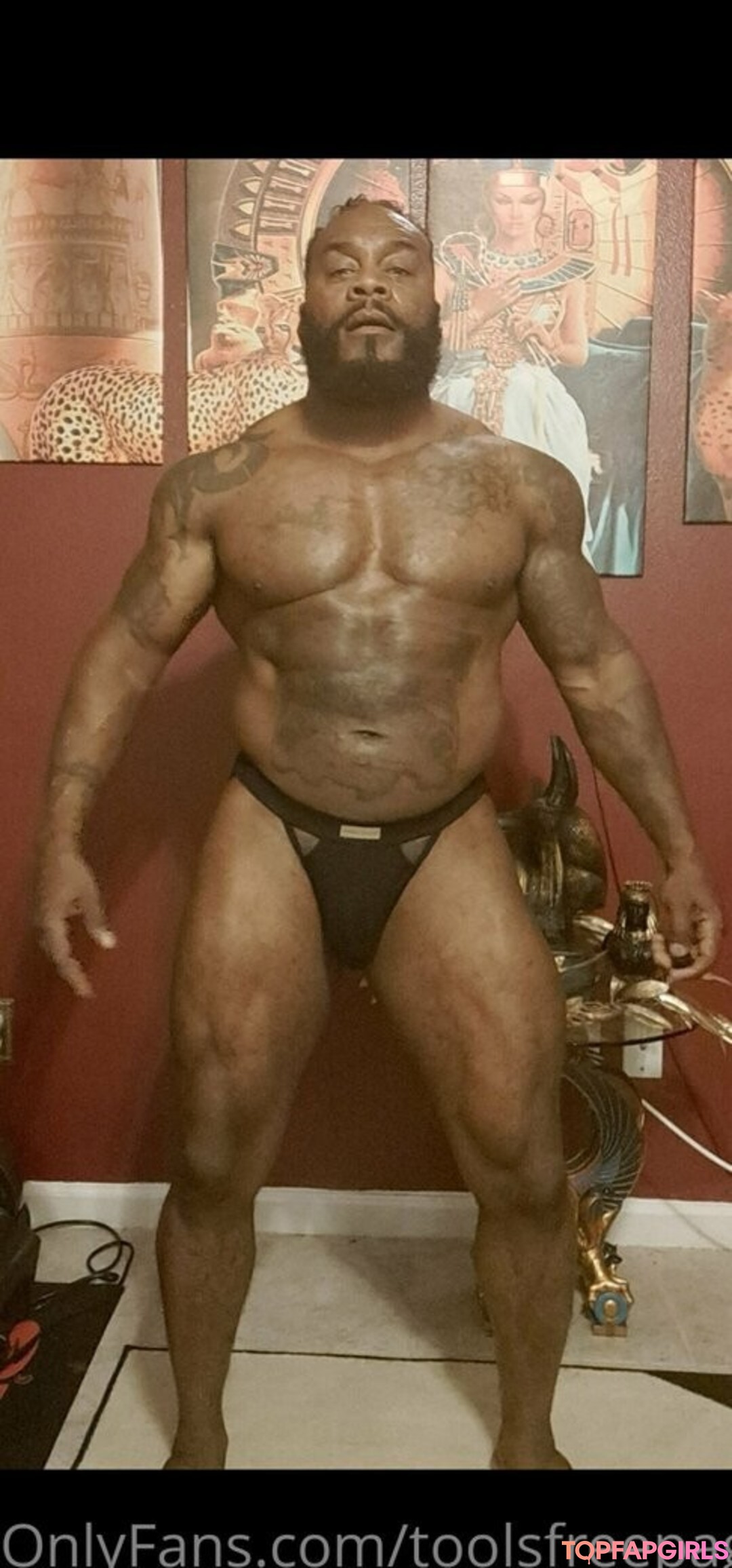 toolsfreepage 高品質モデル 写真