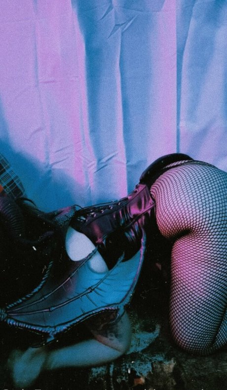 xmeddy madnessx 無料モデル 写真