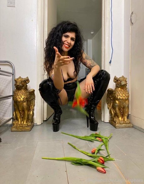 mistresssophiasahara 限定スター 画像