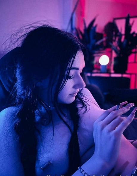 britneydutch セックススター 写真