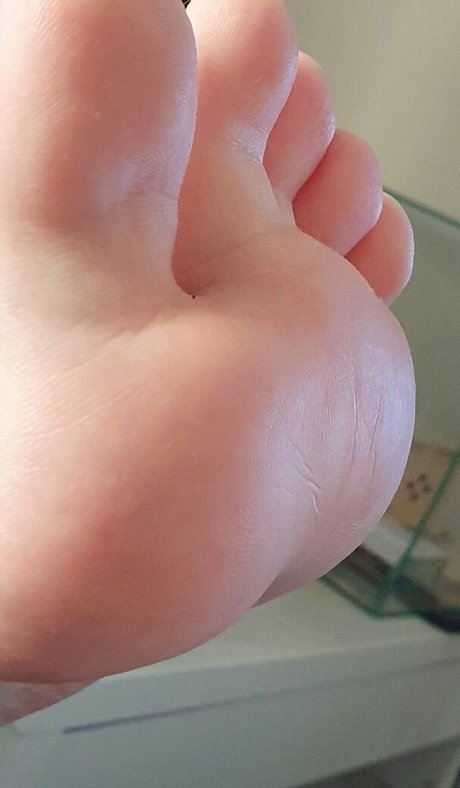 unicornsfeet 美しいスター 画像