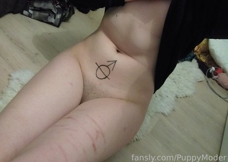 PuppyModer ポルノスター パーフェクト 画像