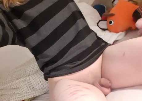 PuppyModer top profile image