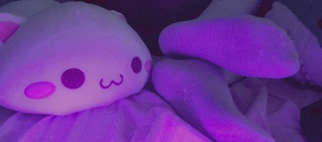 Nyanniee 無料のスター 写真