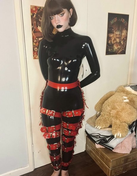 thecutestkittycat HD女優 写真