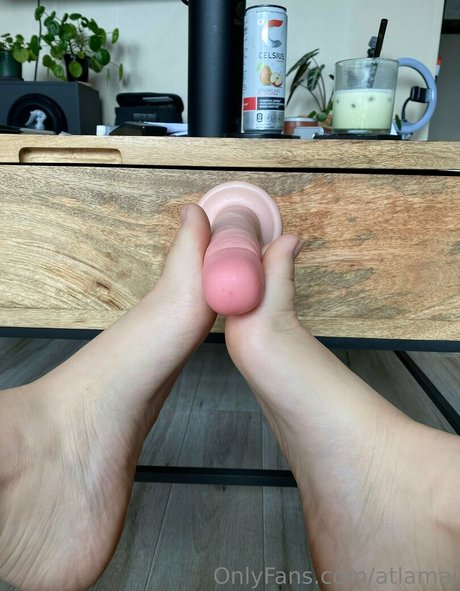 atlamai モデル 画像