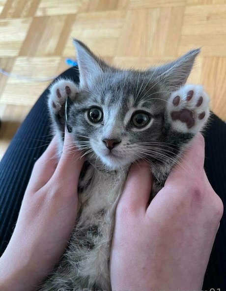 alexa dream01 ホットなポルノスター ギャラリー