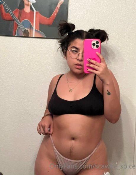 scawee spice top profile image