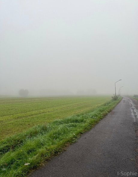 i sophie ヌードモデル 写真