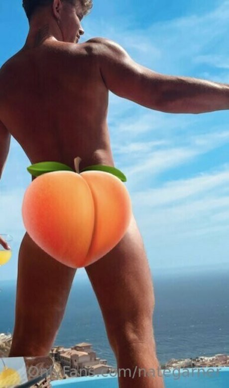 nategarner ポルノスター 画像