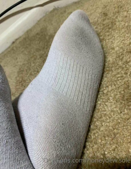 honeydew sole アートスター 写真