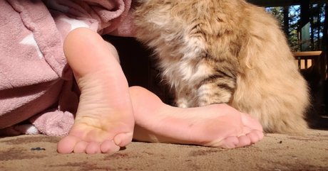 softcorekittyx 独占スター 写真