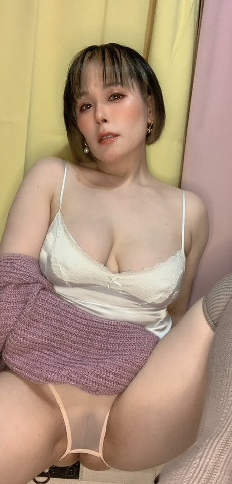 Nanin25791 HDモデル 写真