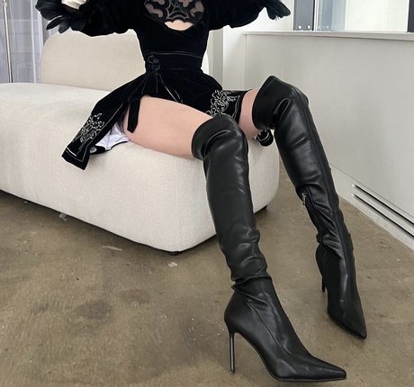 Tero 高品質モデル 写真