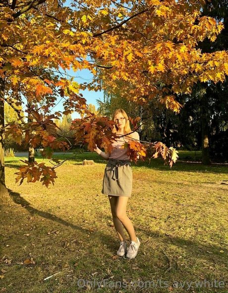 濃厚なソロOnlyFans ヌード 写真