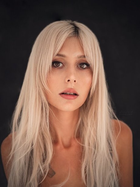 Wolffix ホットスター 写真