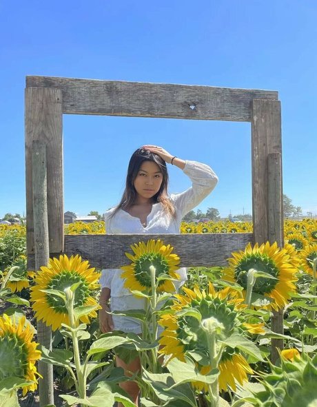 Wen Ding 美しい女優 写真