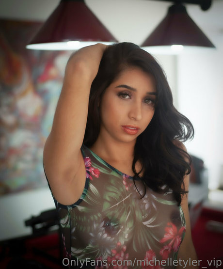 michelletyler vip ホット女優 写真