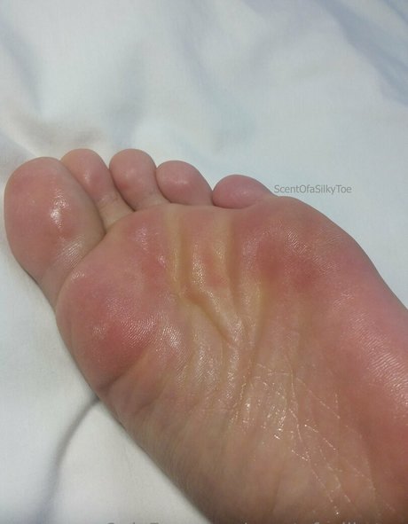 scentofasilkytoe HD女優 写真