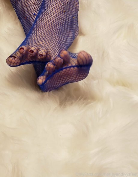 harleyandivysfeet 美しいスター 写真