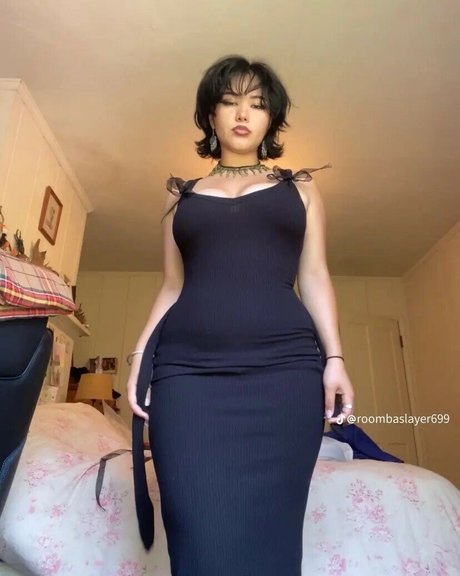 Roombaslayer69 セクシー女優 写真