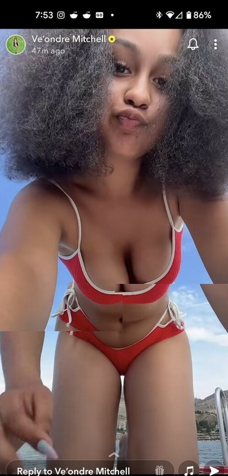 Veondre Mitchell モデル 写真
