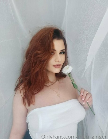 meri ginger ポルノスター パーフェクト 写真