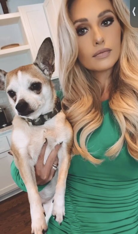 Tomi Lahren profile image