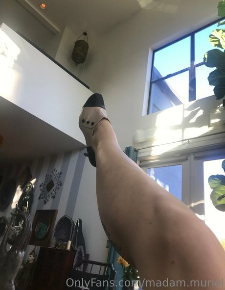 madam muriel 高品質のスター 写真