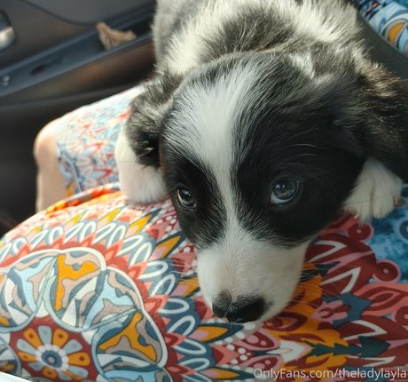 theladylayla 無料のスター 写真