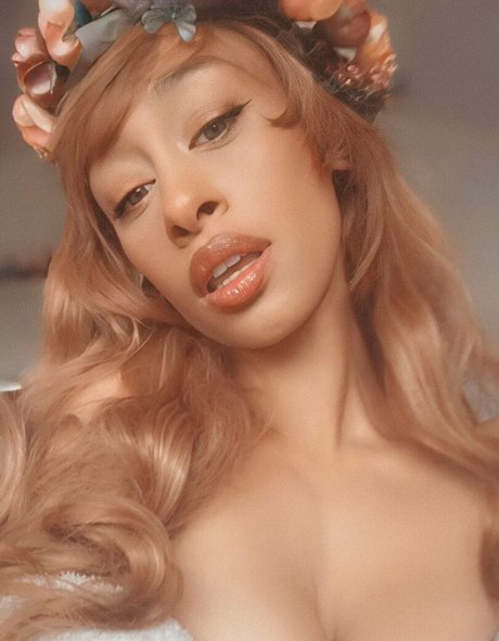 vixi vee free アート女優 写真