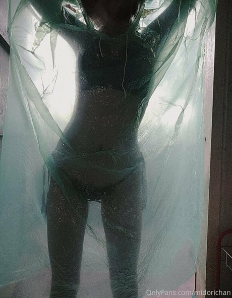 midorichan 完璧なモデル 写真